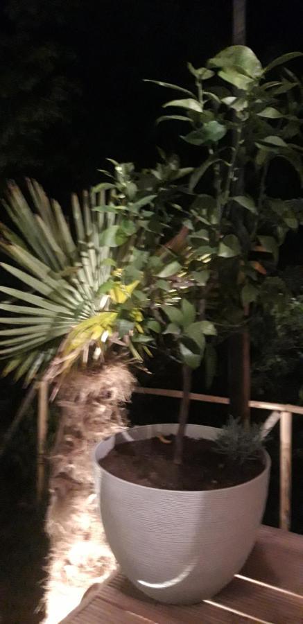 Gites Chez Daniel "Cevennes 1" Mars  Bagian luar foto
