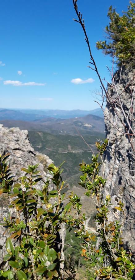 Gites Chez Daniel "Cevennes 1" Mars  Bagian luar foto